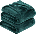 MOONLIGHT20015 Silk Touch Warm 2 Pack Fleece Blankets - 400 GSM Throws for Sofa Fluffy Blanket Bed Throw for Bedroom, Couch, Travel, Kids, Bedroom Accessories Emerald, Full/Queen (200 X 240CM)