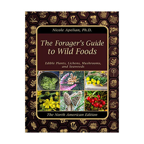 Herbal Remedies Explores The Effective But Often Unconventionals Herbal Remedies Of North America'S Untapped Past