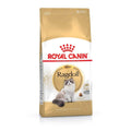 Cat Food Ragdoll 10kg
