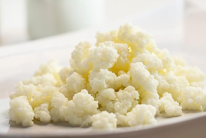 10g of Kombuchaorganic® Live Certified Organic MILK KEFIR Grains - Grass Fed Cow's MILK Kefir Grains - LAB Tested