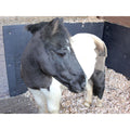 Stable Wall Mats Horsebox Trailer EVA 6ftx4ft 10mm thick Actiasmat