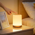VIWAVE Night Light Kids,LED Dimmable Baby Night Light with 256 RGB & Timer & Memory,USB Rechargeable Touch Lamp Battery Bedside Lamps,Toddler Portable Nightlights for Adults,Children,Bedroom,Camping[Energy Class D]