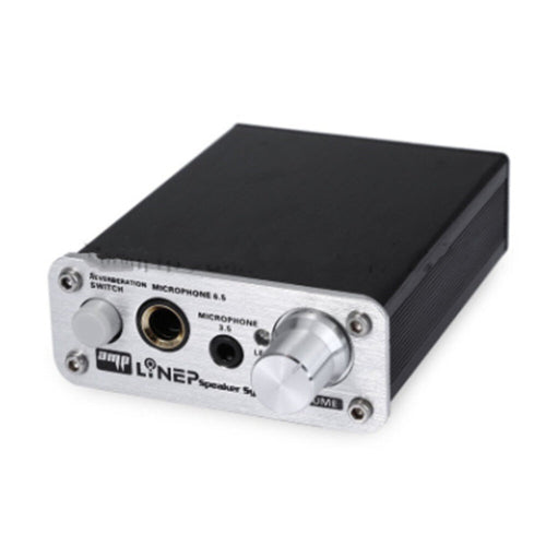 A907 Professional Two-channel Microphone Amplifier Dual Microphone Reverb