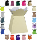 Glossy Vibrant Bouquet, Flower Box/Vase - Transportation Display, Presentation Boxes (1, Ivory)