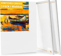 3-Pack Canvas for Painting, 40x60cm Blank Large Canvas, Acid-Free Cotton 280GSM Triple Primed A2 Painting Canvases for Acrylic, Oil Paint & Wet Art Media Artwork
