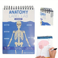 (Blue) Anatomy Label Lab Workbook: Erasable Reusable Medical Student Study Guide with 100  Labeled Human Anatomy Illustrations, Portable 26.92cm x 17.53cm