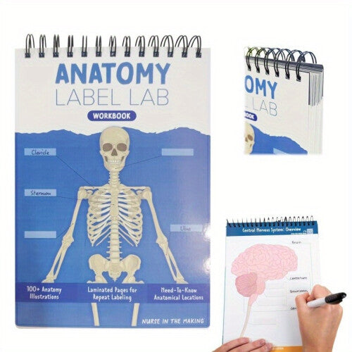 (Blue) Anatomy Label Lab Workbook: Erasable Reusable Medical Student Study Guide with 100  Labeled Human Anatomy Illustrations, Portable 26.92cm x 17.53cm