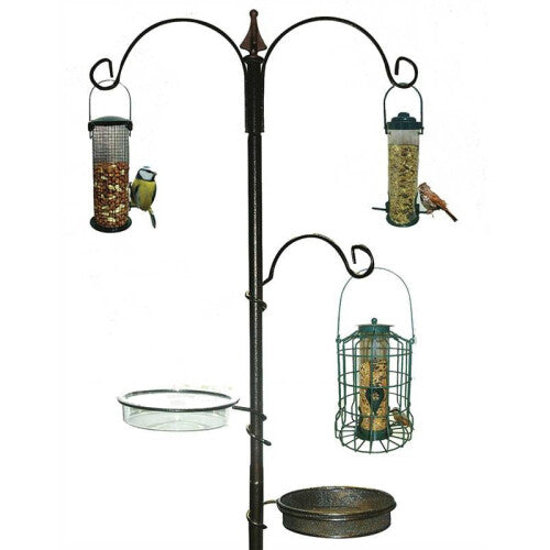 Wild Bird Feeding Station