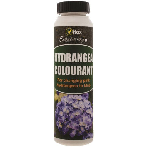 250g Blue Hydrangea Colour