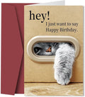 1pc Unique Cat Birthday Card, Best Gift For Family And Friends, Happy Birthday Card With Envelope, Unusual Things, Cute Aesthetic Items