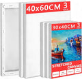 Mokani Stretched Canvas for Painting, 6 Pack 30x40 40x60cm (3 Pcs Each) Blank Large Canvas, Acid-Free Cotton 280GSM Triple Primed A2 A3 Painting Canvases for Acrylic Oil Watercolor, Artist & Beginner