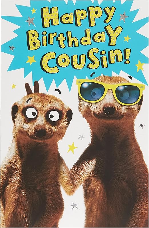 UK Greetings | Birthday Card for Cousin | Happy Birthday Gifts | Her/Him | Funny Meerkat Design | With Envelope | 143 x 216 mm