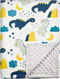 Soarwg Kids Baby Blanket Newborn Gifts, Soft Plush Blankets with Dotted Backing, Oeko-tex100, Essentials for Unisex, Toddlers, Boys Girls 75x100cm (Dinosaur)