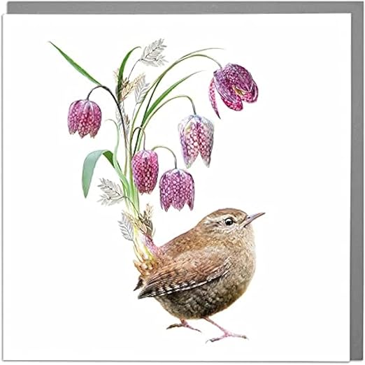 Lola Design - Wildlife Botanical Greeting Cards, Floral Wren Bird Design - Suitable for Birthdays, or Celebrations for a Female Friend - Blank Card with Grey Envelope - 150mm x 150mm