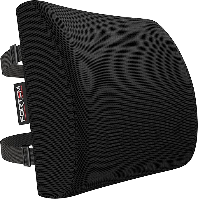 FORTEM Lumbar Support Cushion, Back Support for Office Chair and Car Seat, Back Rest for Gaming, Memory Foam Pillow, Desk Chair Cushion, Breathable & Washable Cover, Adjustable Straps