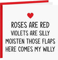 Valentines Day Card Rude Funny Valentine's Day Cards For Her Wife Girlfriend Offensive Joke Card