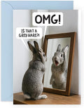Funny Birthday Card for Men – OMG Grey Hare – Hilarious Pun Greeting Card for Dad, Husband, Brother, Boyfriend, Uncle, Grandad, Brother, Friends, Coworkers, Him - Getting Older – Comes with Stickers