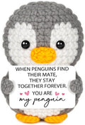 Valentines Gifts for Her Him, Anniversary Romantic Gifts for Her - Handmade Cute Crochet Penguin, Birthday Gift for Girlfriend Wife, Valentine's Day Presents for Her