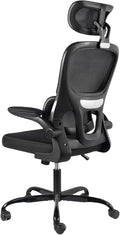 Ergonomic Office Chair - High Back Mesh Design Desk Chair, Dynamic Lumbar Support with Adjustable Headrest, Reversible Armrests, Comfortable Cushion, Chair for Home Office and Study (Black)