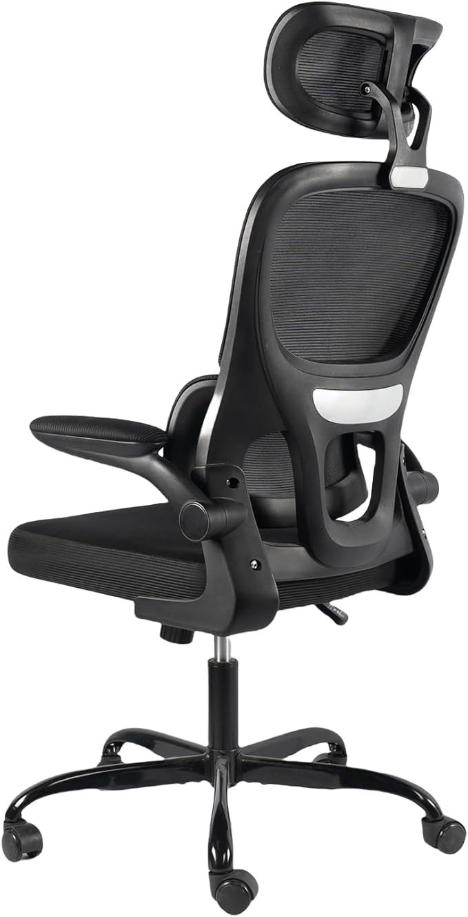 Ergonomic Office Chair - High Back Mesh Design Desk Chair, Dynamic Lumbar Support with Adjustable Headrest, Reversible Armrests, Comfortable Cushion, Chair for Home Office and Study (Black)