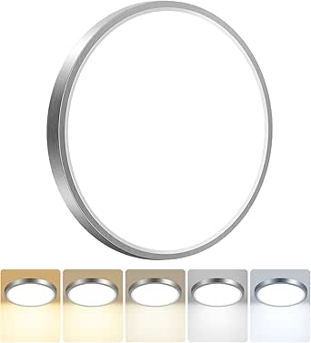 Peasur Bathroom Light, 3000K/3500K/4000K/5000K/6500K 5 Color Temperature LED Ceiling Light, 15W 1500LM, IP54 Waterproof, Round, Small, Modern, Flush Ceiling Light for Bathroom, Kitchen, Brushed Nickel