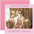Sassy Women Birthday Card – More Fabulous – Greetings for Her, Ladies, Mum, Wife, Grandmum, Auntie, Sister, Girlfriend, Bestie, BFF, Friends, Colleagues - Retro Chic Design - Comes with Stickers