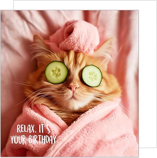 Edition Seidel Premium Square Birthday Card with Envelope Greeting Happy Birthday For Her Mum Female Girl Friend Colleague Teenager Cool Cat Relax (GQ150 SW024)